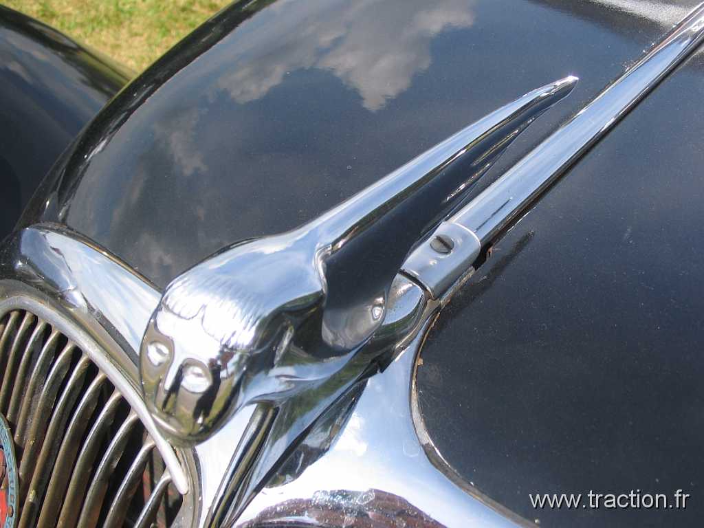 2013_Madine 067.JPG